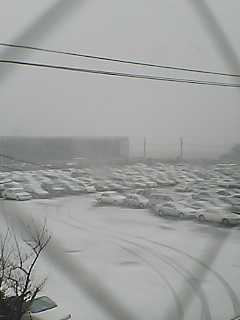 雪 吹雪