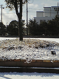 雪 吹雪