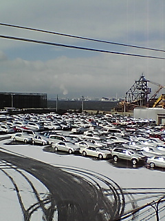雪 吹雪