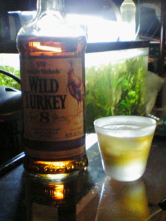 ターキー Wild Turkey